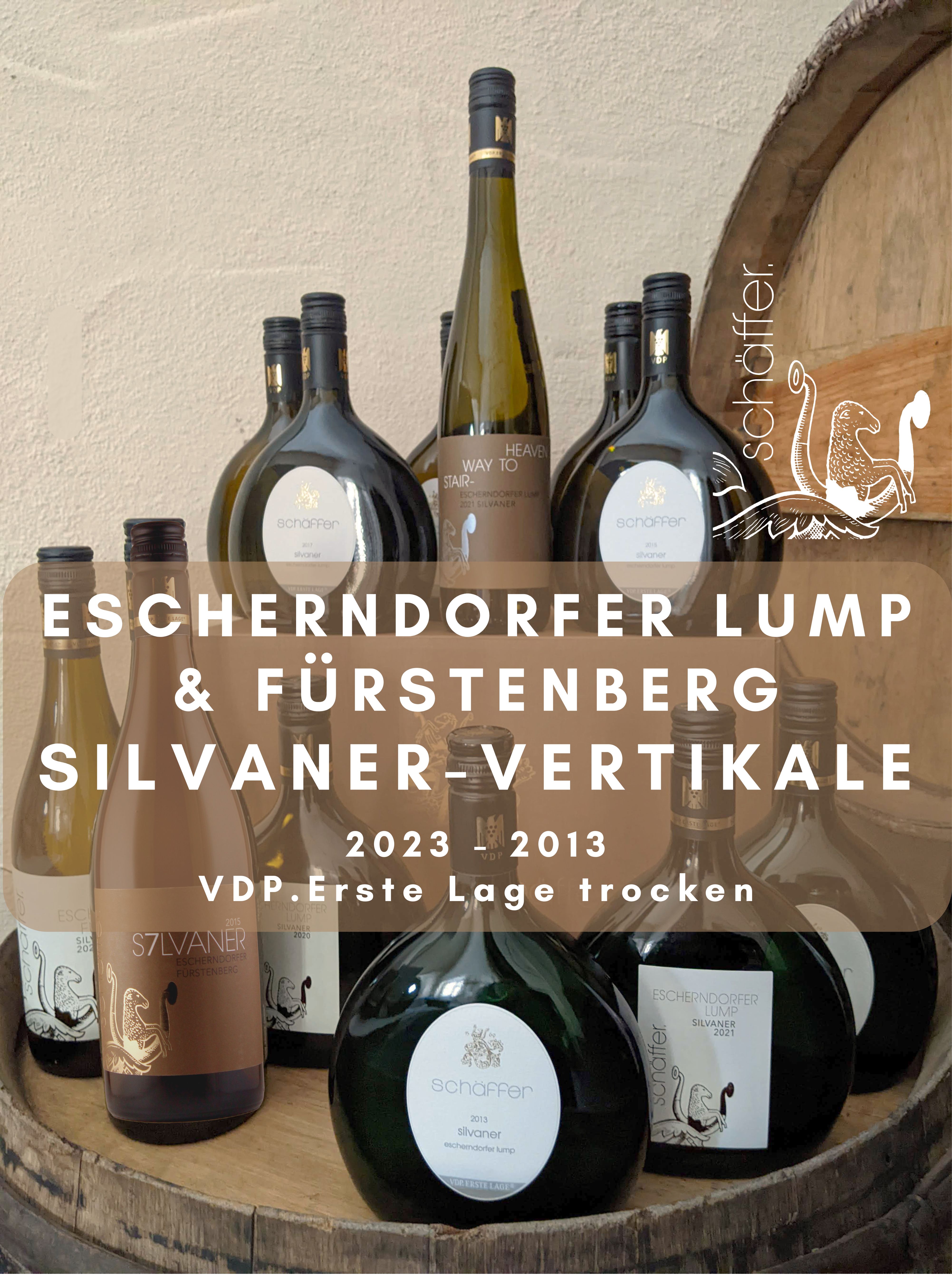 Silvaner Vertikale vom Escherndorfer Lump & Fürstenberg 2013 - 2023 | VDP.Erste Lage